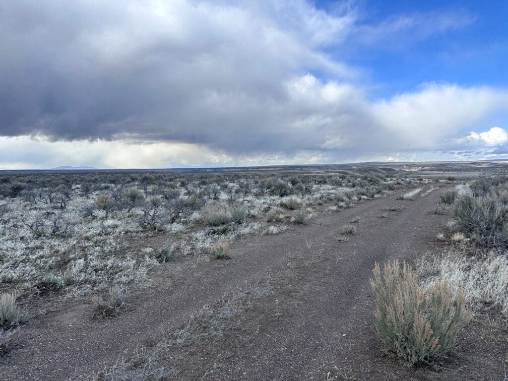 Large view of 20.00 ACRES IN BEAUTIFUL MALHEUR COUNTY, OREGON LAND NEAR THE WILD OWYHEE RIVER AND PILLARS OF ROME Photo 16