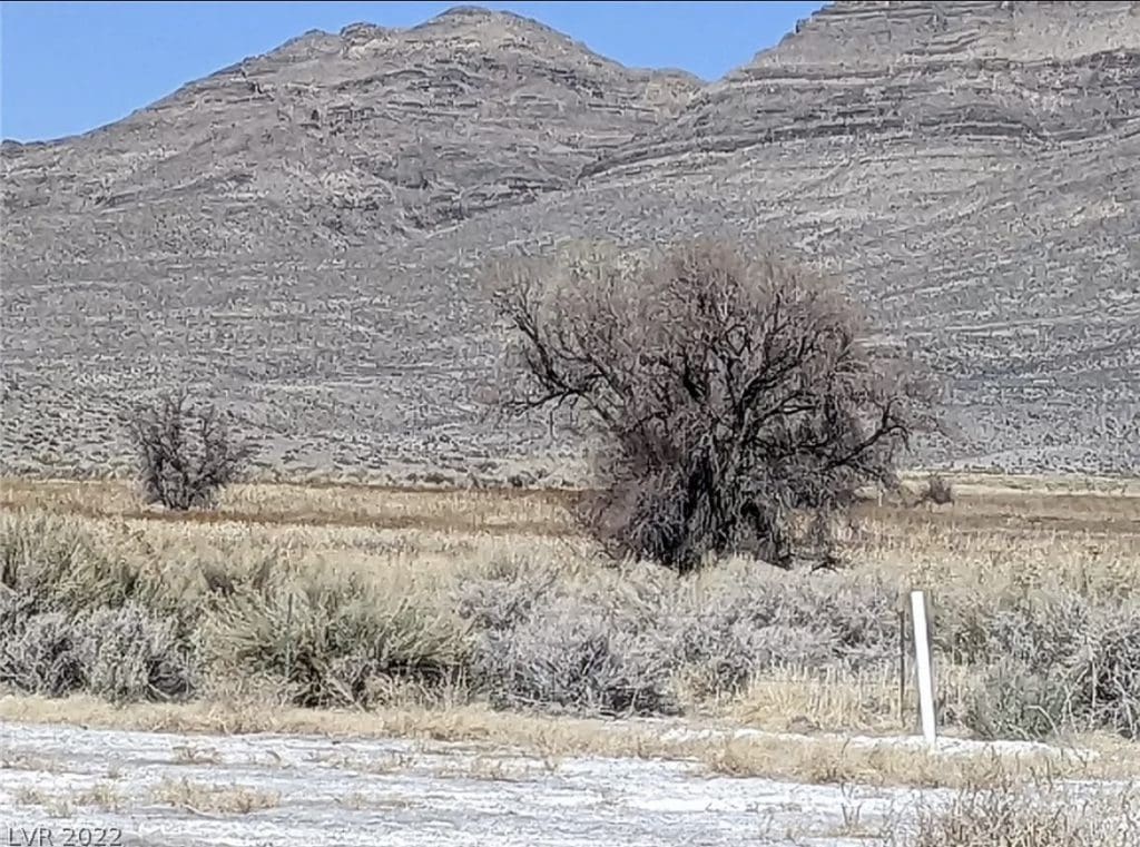 Large view of 2.61 Acres in Beautiful Crystal Springs Adjacent to Key Pittman Wildlife Area/Lake & Fronts NV State Highway SR-318 Photo 23