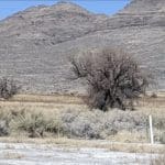 Thumbnail of 2.61 Acres in Beautiful Crystal Springs Adjacent to Key Pittman Wildlife Area/Lake & Fronts NV State Highway SR-318 Photo 23