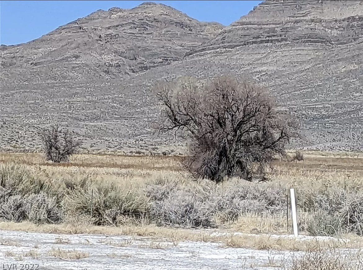 2.61 Acres in Beautiful Crystal Springs Adjacent to Key Pittman Wildlife Area/Lake & Fronts NV State Highway SR-318 photo 23