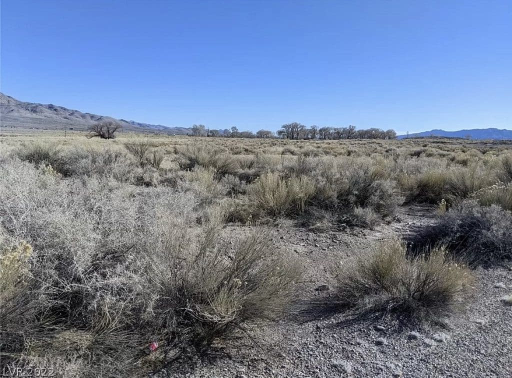 Large view of 2.61 Acres in Beautiful Crystal Springs Adjacent to Key Pittman Wildlife Area/Lake & Fronts NV State Highway SR-318 Photo 25