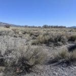 Thumbnail of 2.61 Acres in Beautiful Crystal Springs Adjacent to Key Pittman Wildlife Area/Lake & Fronts NV State Highway SR-318 Photo 25