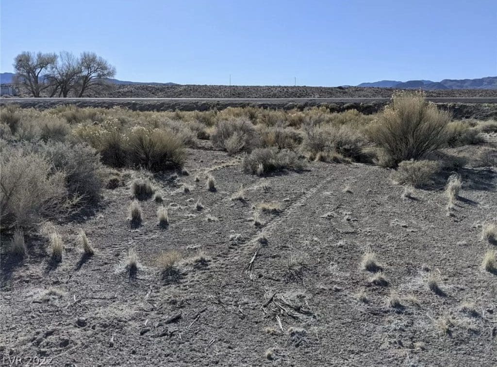 Large view of 2.61 Acres in Beautiful Crystal Springs Adjacent to Key Pittman Wildlife Area/Lake & Fronts NV State Highway SR-318 Photo 27