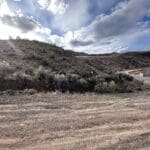 Thumbnail of .164 ACRE IN SALMON RIVER MEADOWS-IDAHO LAND FOR SALE FEET FROM THE FAMOUS SALMON RIVER~VIEWS, FISHING & BIG GAME Photo 7