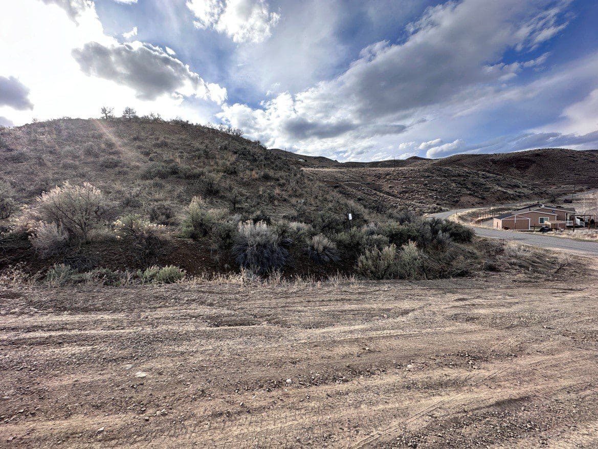 .164 ACRE IN SALMON RIVER MEADOWS-IDAHO LAND FOR SALE FEET FROM THE FAMOUS SALMON RIVER~VIEWS, FISHING & BIG GAME photo 7