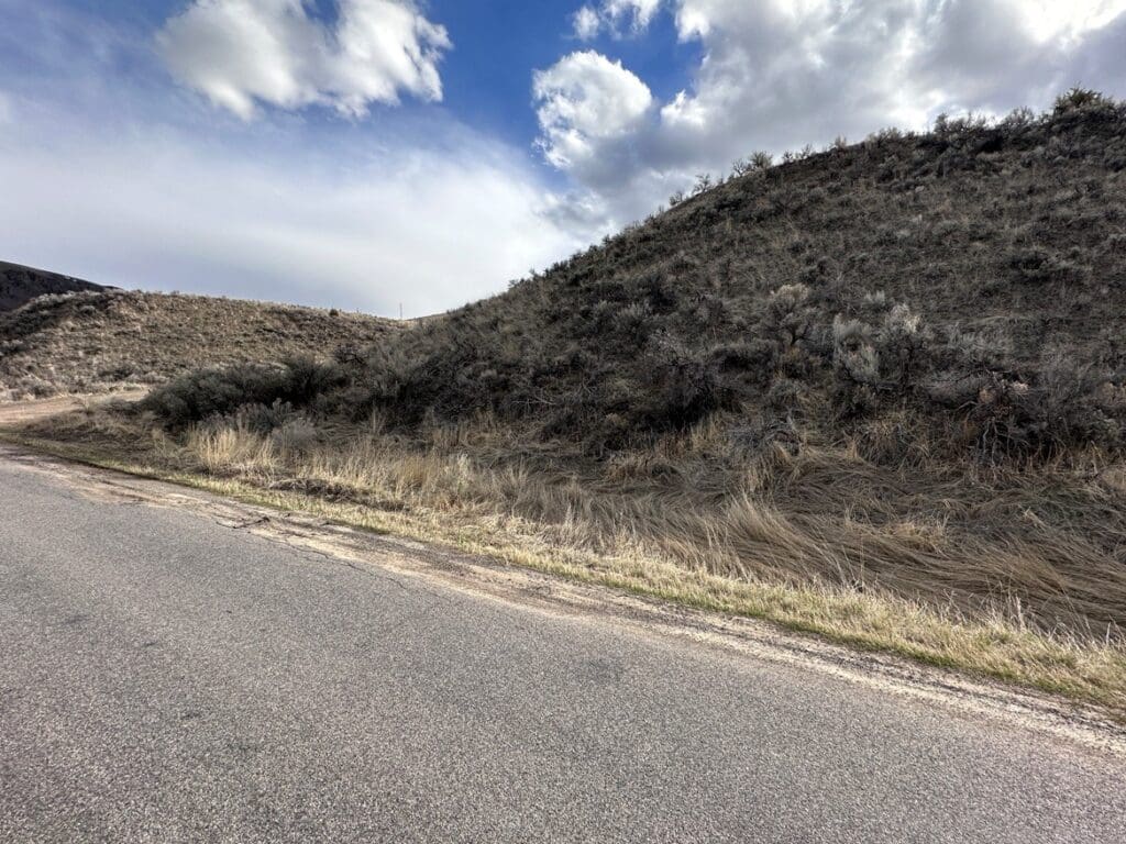 Large view of .164 ACRE IN SALMON RIVER MEADOWS-IDAHO LAND FOR SALE FEET FROM THE FAMOUS SALMON RIVER~VIEWS, FISHING & BIG GAME Photo 8