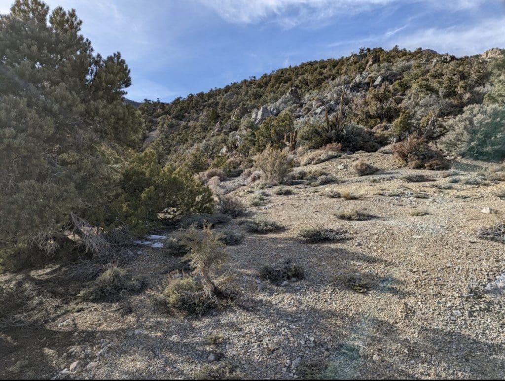 Large view of 160 Ac ~ Lincoln Co, Nevada GOLD & SILVER area, 8 Patented Load Mining Claims; The DENVER, MOHAWK AND HIGH FLY, The ELEPHANT, TOM BLUNDER, HIKO BELL, VALLEY VIEW AND VERA Photo 4