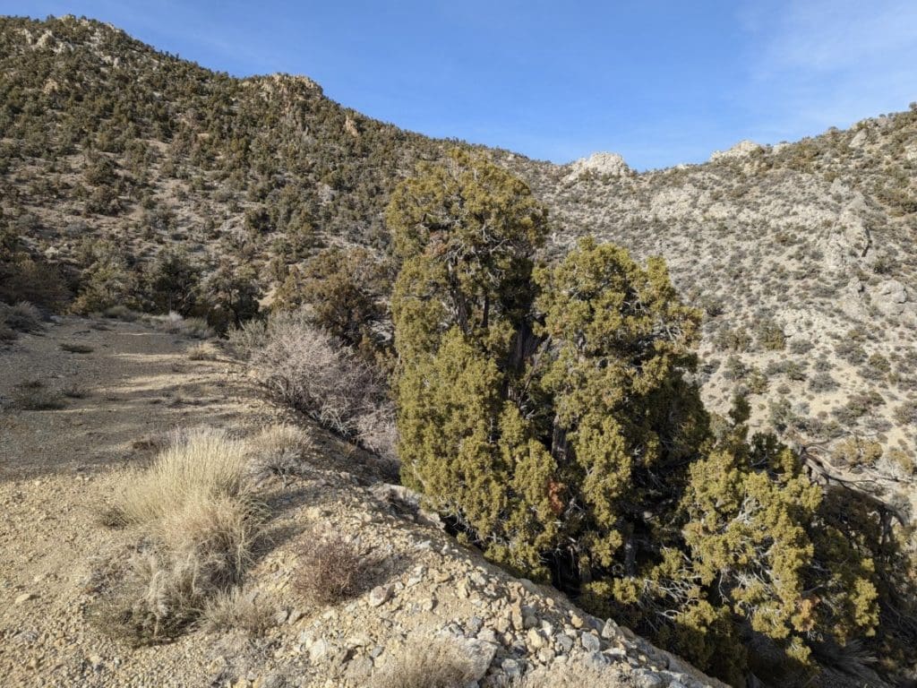 Large view of 160 Ac ~ Lincoln Co, Nevada GOLD & SILVER area, 8 Patented Load Mining Claims; The DENVER, MOHAWK AND HIGH FLY, The ELEPHANT, TOM BLUNDER, HIKO BELL, VALLEY VIEW AND VERA Photo 2