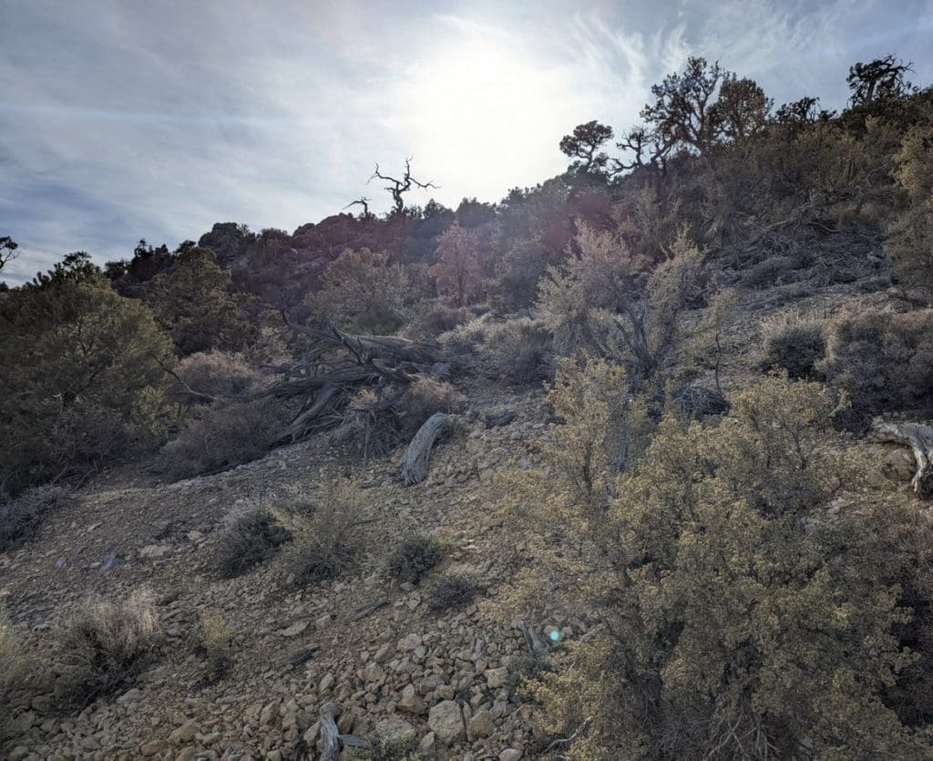 Large view of 160 Ac ~ Lincoln Co, Nevada GOLD & SILVER area, 8 Patented Load Mining Claims; The DENVER, MOHAWK AND HIGH FLY, The ELEPHANT, TOM BLUNDER, HIKO BELL, VALLEY VIEW AND VERA Photo 7