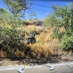 Thumbnail of 0.649 ACRE BUILDING LOT IN WRAY, COLORADO ON US. ROUTE 385 HIGHWAY FRONTAGE! Photo 7