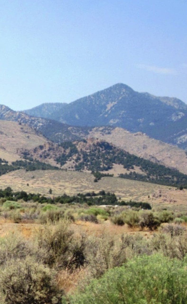 6 LOTS IN THE OLD HISTORIC TOWN OF CHERRY CREEK, NEVADA ~ TREED, POWER, ROAD AND MILLION DOLLAR VIEWS photo 3