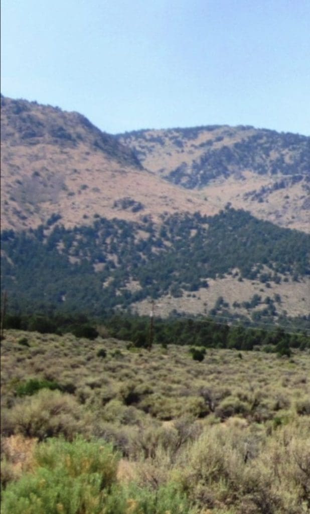 Large view of 6 LOTS IN THE OLD HISTORIC TOWN OF CHERRY CREEK, NEVADA ~ TREED, POWER, ROAD AND MILLION DOLLAR VIEWS Photo 11