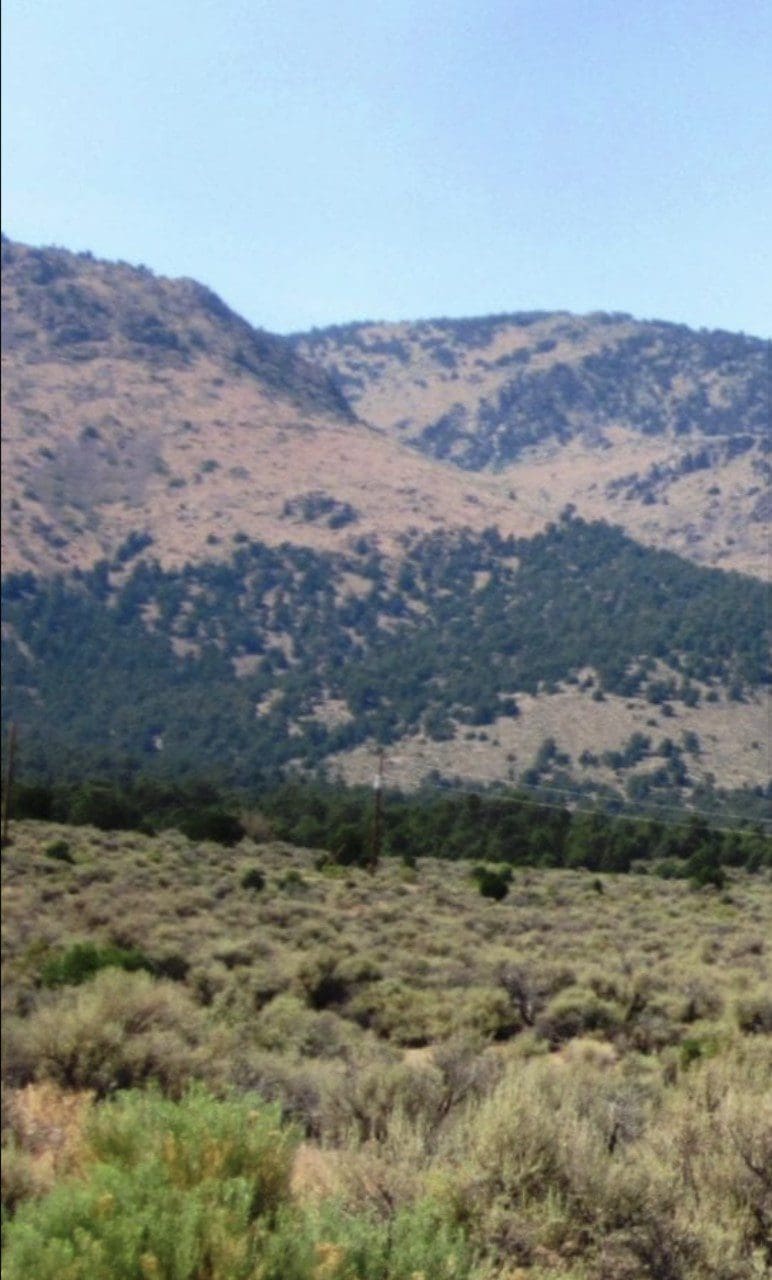 6 LOTS IN THE OLD HISTORIC TOWN OF CHERRY CREEK, NEVADA ~ TREED, POWER, ROAD AND MILLION DOLLAR VIEWS photo 11