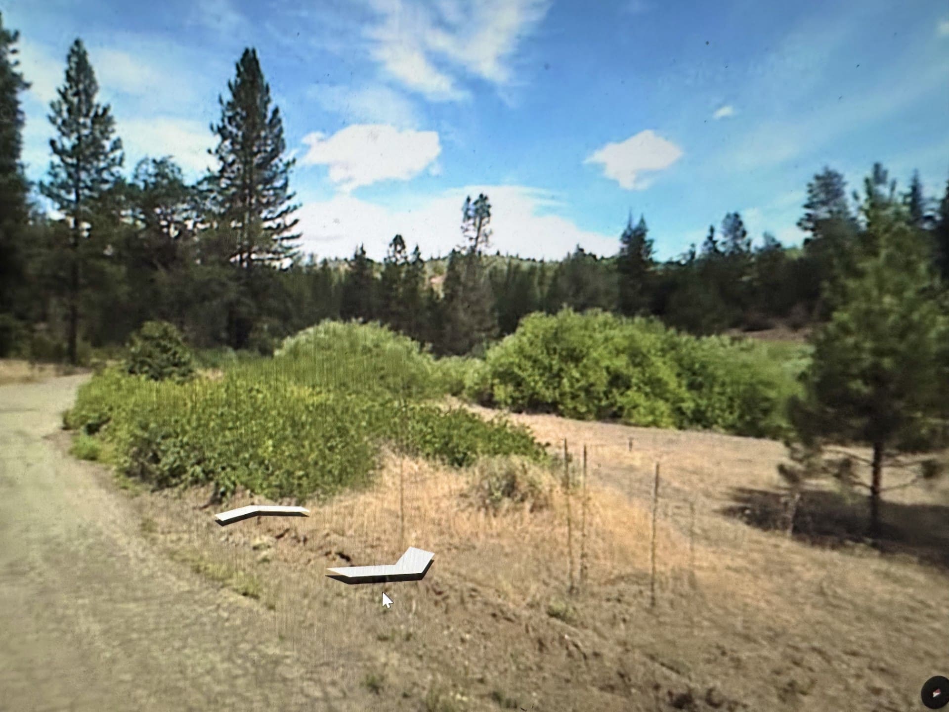 LOT IN BEAUTIFUL SHASTA COUNTY, CALIFORNIA NEAR THE TRINITY ALPS AND SHASTA LAKE ~ TREED photo 9