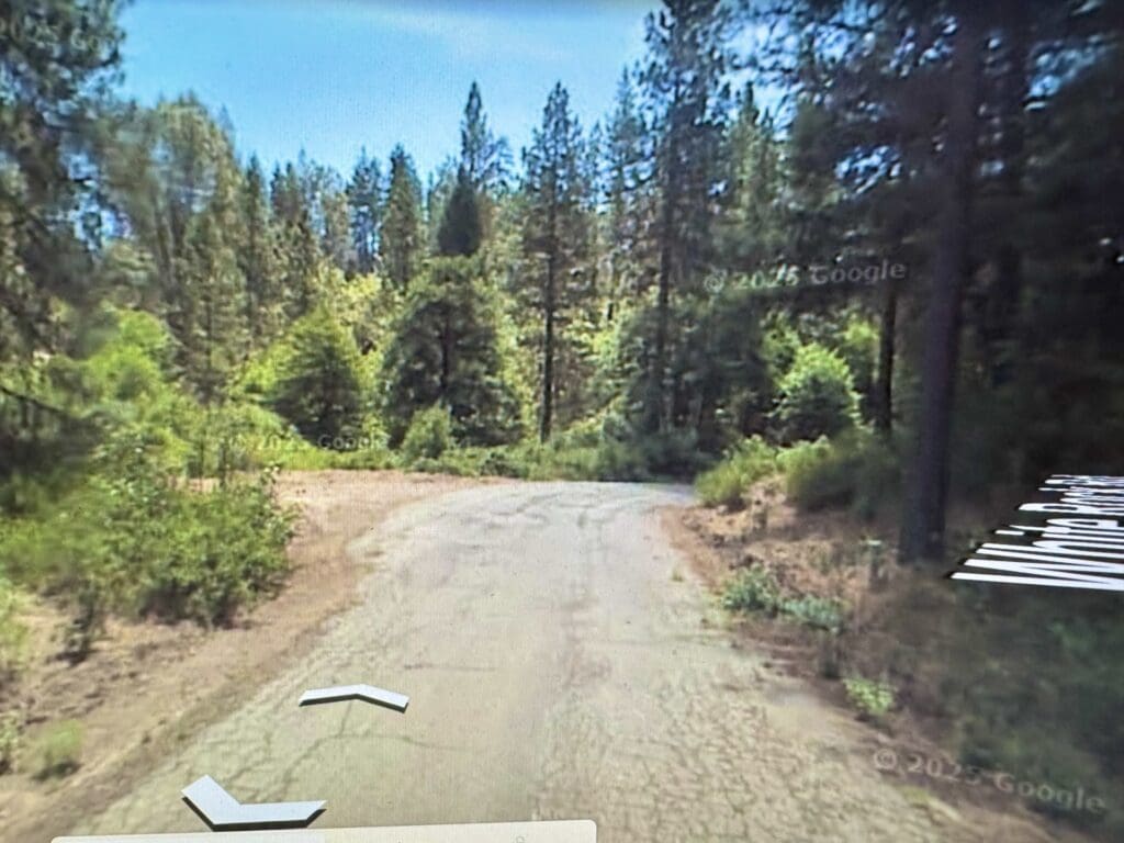 Large view of LOT IN BEAUTIFUL SHASTA COUNTY, CALIFORNIA NEAR THE TRINITY ALPS AND SHASTA LAKE ~ TREED Photo 10