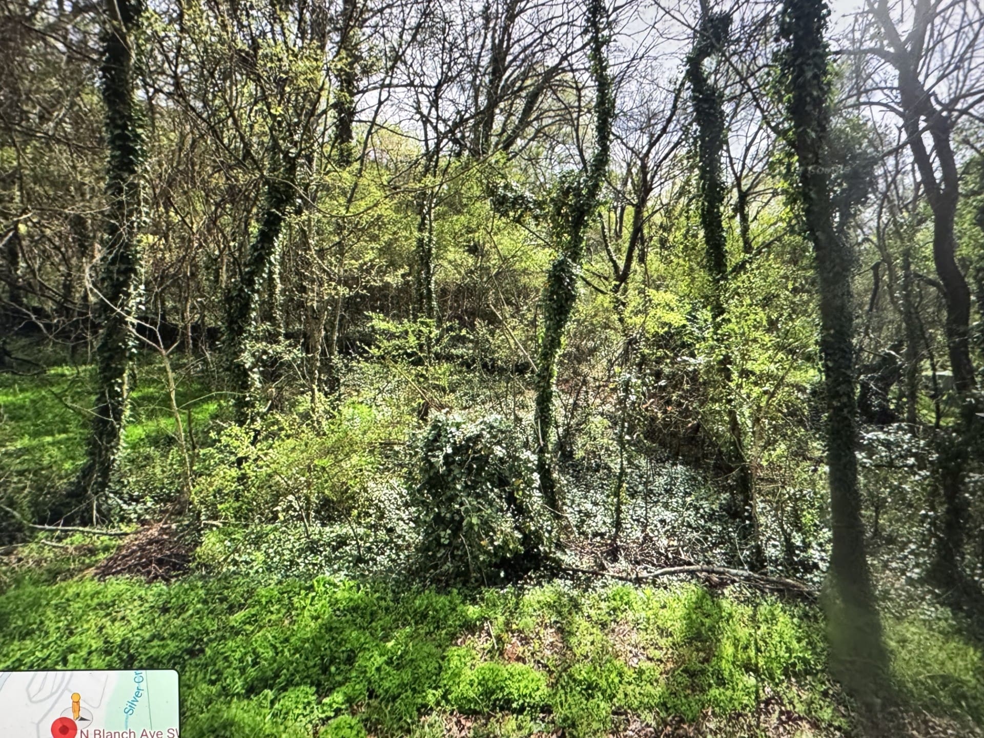 0.28 ACRES IN BEAUTIFUL ROME, GEORGIA ~ LARGE BUILDABLE LOT IN WOODCREST SUB FULL OF MATURE TREES ~ 2025 ASSESSED VALUE $26,376 photo 6