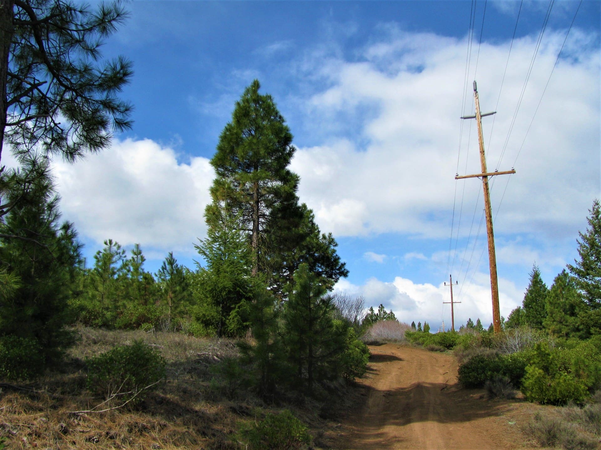 120 GORGEOUS PRISTINE ACRES NEAR KENO & ASHLAND, OREGON WITH TIMBER & TWO LANDOWNER PREFERENCE ELK TAGS photo 4