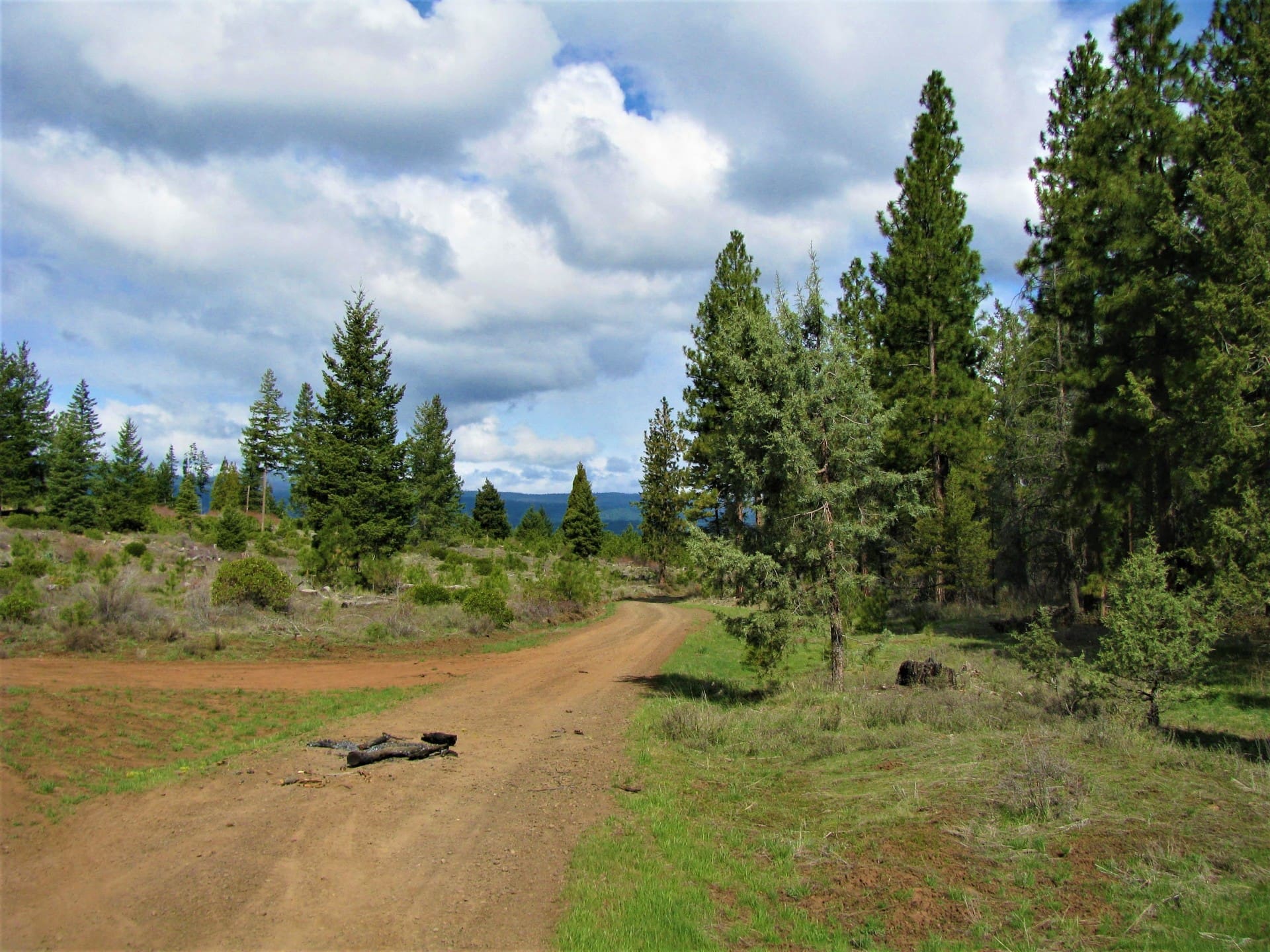 120 GORGEOUS PRISTINE ACRES NEAR KENO & ASHLAND, OREGON WITH TIMBER & TWO LANDOWNER PREFERENCE ELK TAGS photo 5