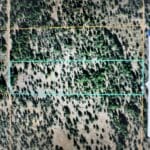 Thumbnail of 10.16 MAGICAL ACRES IN KLAMATH COUNTY OREGON – TIMBERED NEAR NATIONAL FOREST AND CALIFORNIA BORDER Photo 3