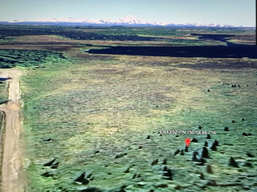Large view of 0.76 ACRES IN WILLOW, ALASKA – FEET FROM LONG LAKE ON IMPROVED ROAD WITH POWER AND GORGEOUS MT. DENALI (20,310 FT)NATIONAL PARK AND PRESERVE VIEWS Photo 3