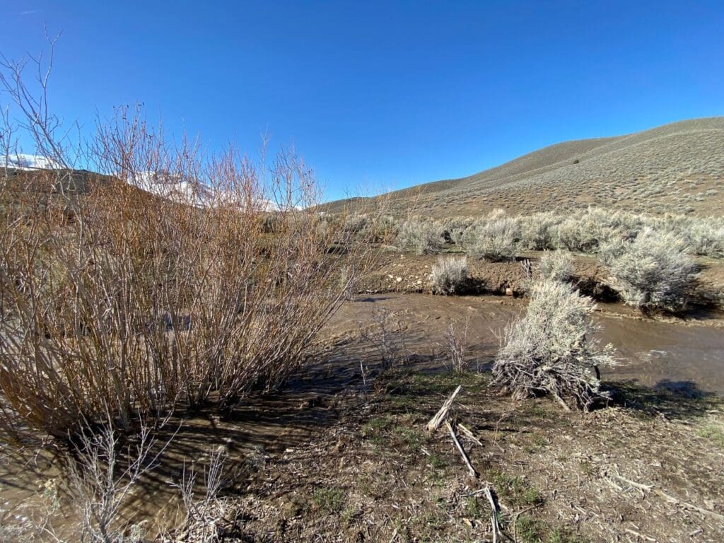 Large view of 41.39 ACRES IN LANDER CO, NEVADA WITH ROAD, CREEK, SPRING AND INCREDIBLE MOUNTAIN TOP VIEWS FOR MILES~NEW PICS MUST SEE AMAZING! Photo 22