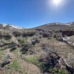 Thumbnail of 41.39 ACRES IN LANDER CO, NEVADA WITH ROAD, CREEK, SPRING AND INCREDIBLE MOUNTAIN TOP VIEWS FOR MILES~NEW PICS MUST SEE AMAZING! Photo 19