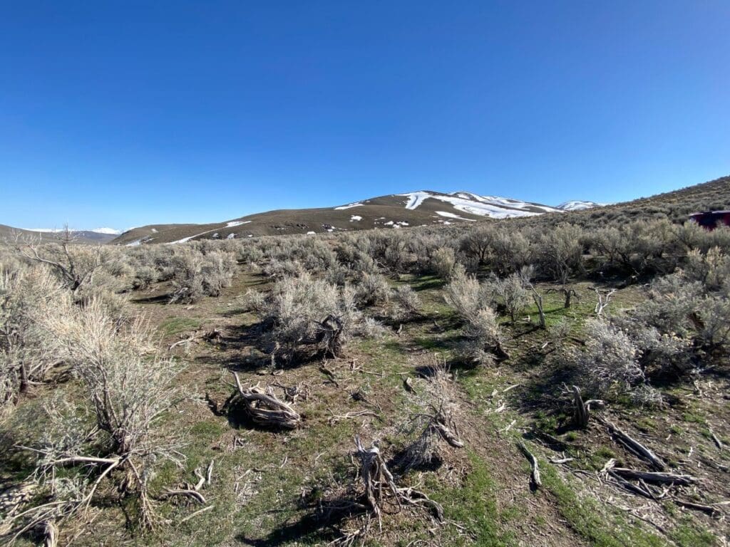 Large view of 41.39 ACRES IN LANDER CO, NEVADA WITH ROAD, CREEK, SPRING AND INCREDIBLE MOUNTAIN TOP VIEWS FOR MILES~NEW PICS MUST SEE AMAZING! Photo 18