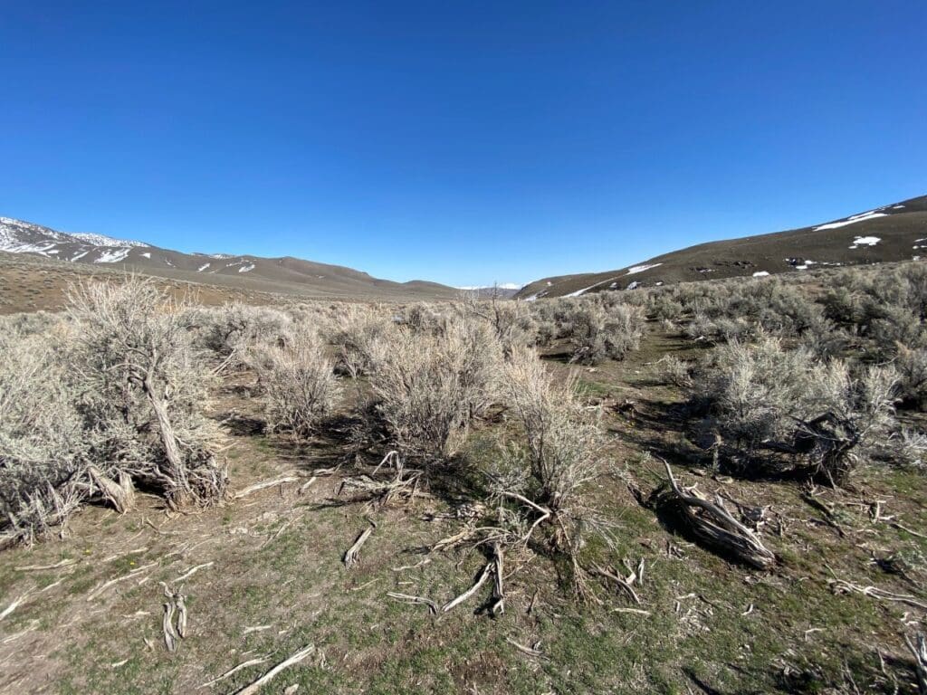 Large view of 41.39 ACRES IN LANDER CO, NEVADA WITH ROAD, CREEK, SPRING AND INCREDIBLE MOUNTAIN TOP VIEWS FOR MILES~NEW PICS MUST SEE AMAZING! Photo 6