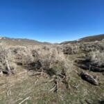 Thumbnail of 41.39 ACRES IN LANDER CO, NEVADA WITH ROAD, CREEK, SPRING AND INCREDIBLE MOUNTAIN TOP VIEWS FOR MILES~NEW PICS MUST SEE AMAZING! Photo 6
