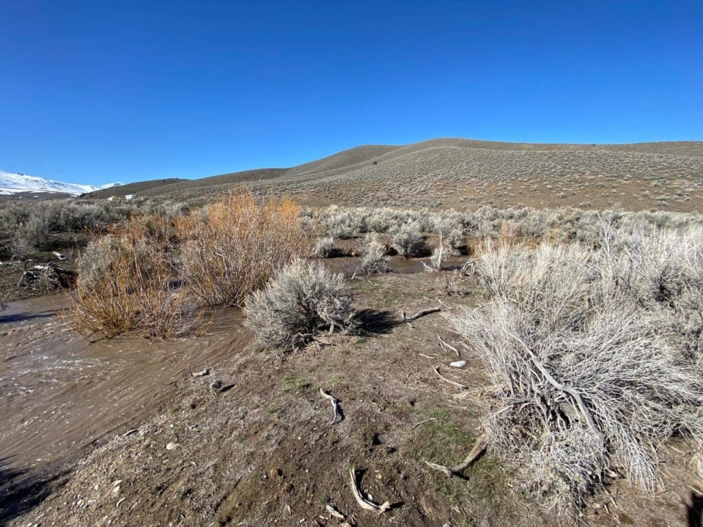 Large view of 41.39 ACRES IN LANDER CO, NEVADA WITH ROAD, CREEK, SPRING AND INCREDIBLE MOUNTAIN TOP VIEWS FOR MILES~NEW PICS MUST SEE AMAZING! Photo 17