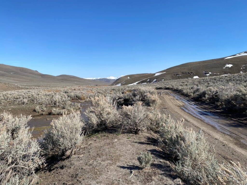 Large view of 41.39 ACRES IN LANDER CO, NEVADA WITH ROAD, CREEK, SPRING AND INCREDIBLE MOUNTAIN TOP VIEWS FOR MILES~NEW PICS MUST SEE AMAZING! Photo 27