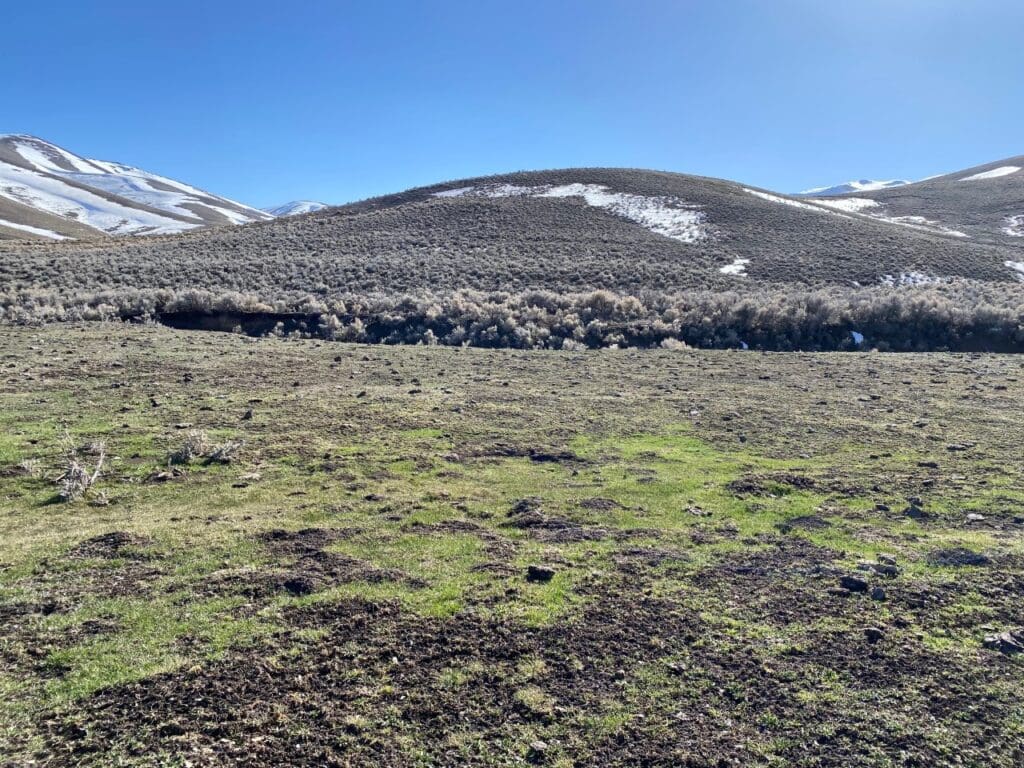 Large view of 41.39 ACRES IN LANDER CO, NEVADA WITH ROAD, CREEK, SPRING AND INCREDIBLE MOUNTAIN TOP VIEWS FOR MILES~NEW PICS MUST SEE AMAZING! Photo 25