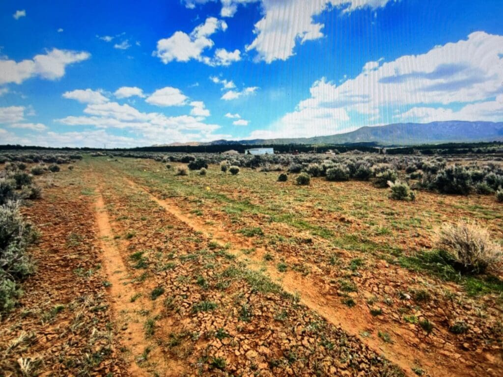 Large view of 40.00 ACRES IN EDDY COUNTY, NEW MEXICO NEAR CARLSBAD, PECOS RIVER & TEXAS. OIL & GAS WELLS SURROUND THIS RANCH. Photo 4