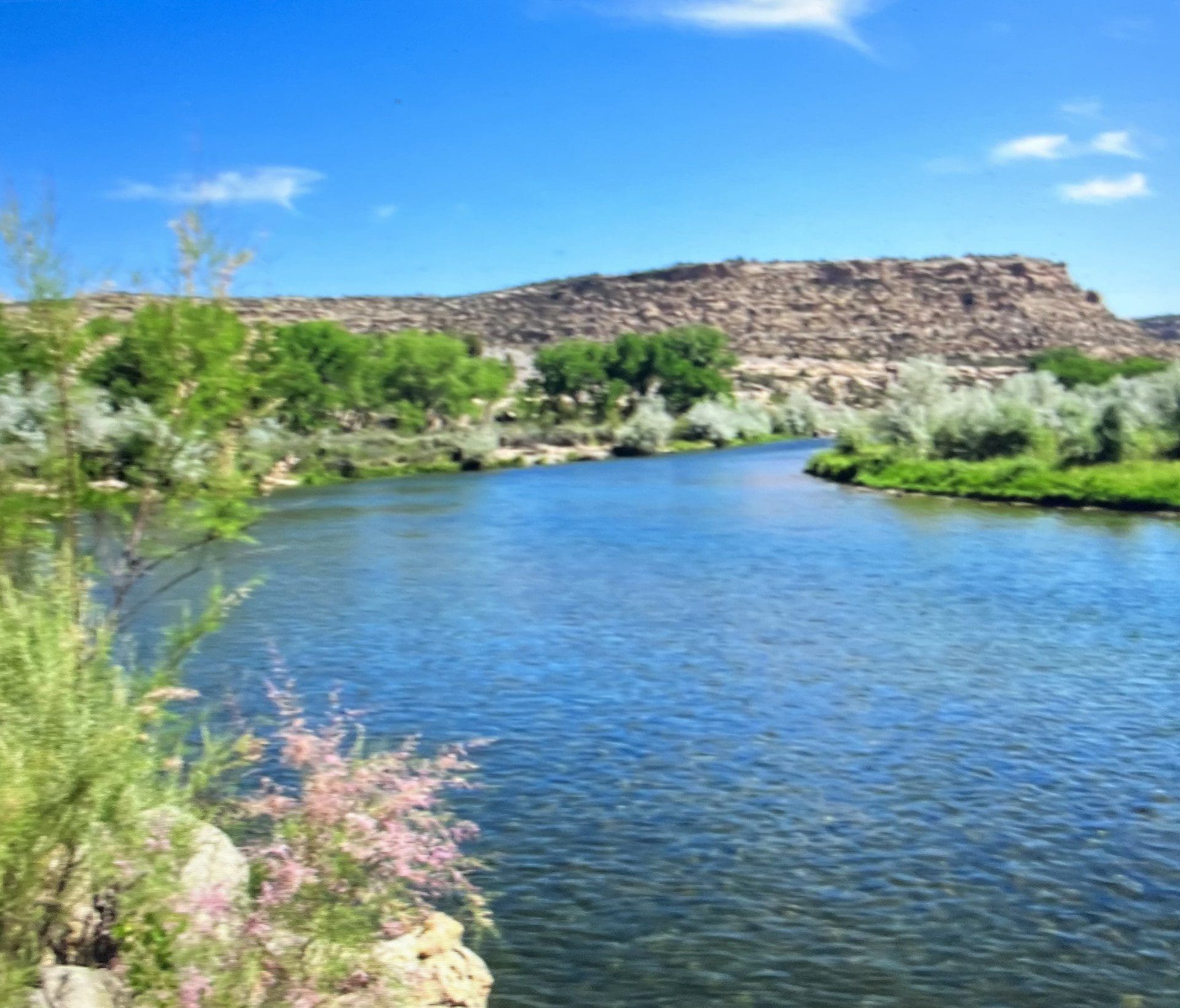 4.450 ACRES IN EDDY COUNTY, NEW MEXICO ~ LAKEWOOD AREA NEAR PECOS RIVER & BRANTLEY LAKE ~ SEASONAL CREEK photo 4