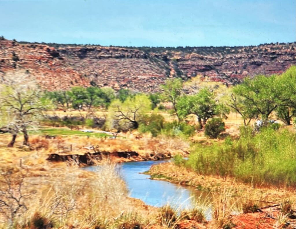 Large view of 4.450 ACRES IN EDDY COUNTY, NEW MEXICO ~ LAKEWOOD AREA NEAR PECOS RIVER & BRANTLEY LAKE ~ SEASONAL CREEK Photo 8