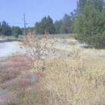 Thumbnail of 1.58 ACRES ON THE BEAUTIFUL SPRAGUE RIVER~SHED,SEPTIC WITH PERMIT, POWER POLE DROP, PARTIALLY FENCED WITH PAVED ROAD FRONTAGE Photo 3