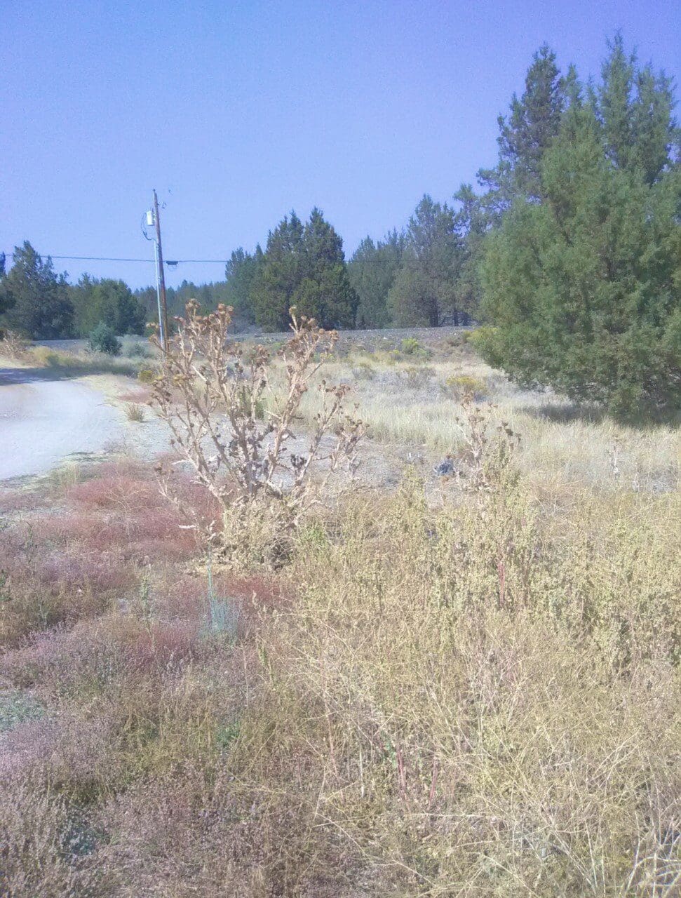 1.58 ACRES ON THE BEAUTIFUL SPRAGUE RIVER~SHED,SEPTIC WITH PERMIT, POWER POLE DROP, PARTIALLY FENCED WITH PAVED ROAD FRONTAGE photo 3