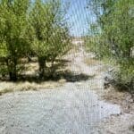 Thumbnail of 0.73 ACRE LOT IN ARTESIA, NEW MEXICO ~ GORGEOUS BUILDING LOT IN TOWN ~ NEAR ROSEWELL & LINCOLN NAT. FOREST Photo 10