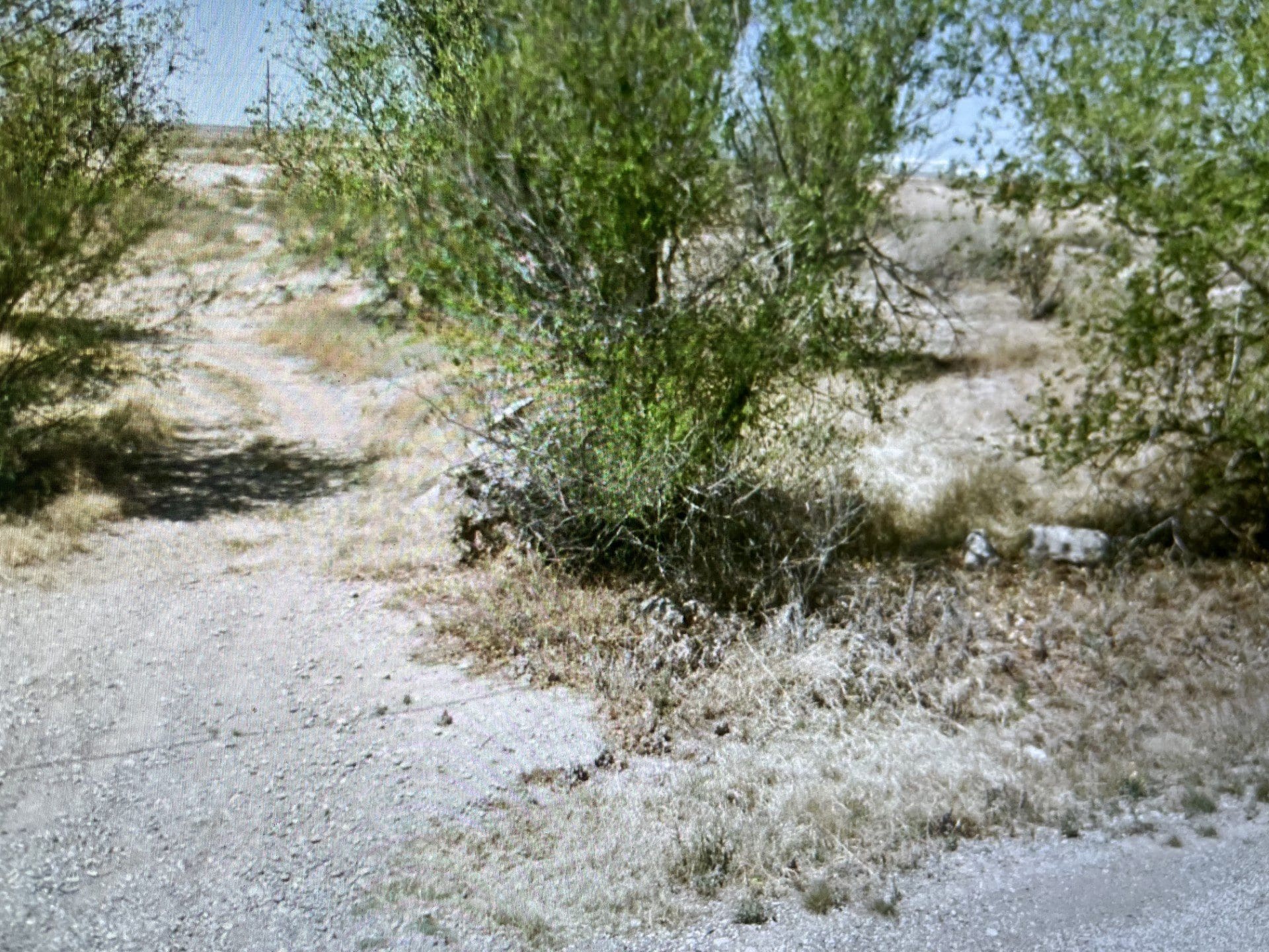 0.73 ACRE LOT IN ARTESIA, NEW MEXICO ~ GORGEOUS BUILDING LOT IN TOWN ~ NEAR ROSEWELL & LINCOLN NAT. FOREST photo 2