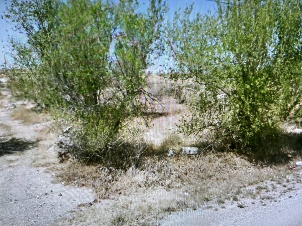 Large view of 0.73 ACRE LOT IN ARTESIA, NEW MEXICO ~ GORGEOUS BUILDING LOT IN TOWN ~ NEAR ROSEWELL & LINCOLN NAT. FOREST Photo 7