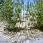 Thumbnail of 0.73 ACRE LOT IN ARTESIA, NEW MEXICO ~ GORGEOUS BUILDING LOT IN TOWN ~ NEAR ROSEWELL & LINCOLN NAT. FOREST Photo 7