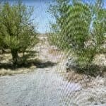 Thumbnail of 0.73 ACRE LOT IN ARTESIA, NEW MEXICO ~ GORGEOUS BUILDING LOT IN TOWN ~ NEAR ROSEWELL & LINCOLN NAT. FOREST Photo 12