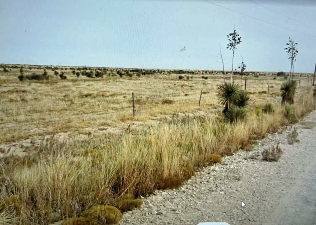 Large view of 2.50 ACRE MINI RANCH IN SOUTHEASTERN NEW MEXICO NEAR ROSWELL AND CLOUDCROFT ~ GORGEOUS VIEWS AND TONS OF WILDLIFE! Photo 3