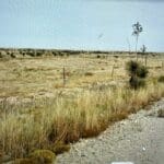Thumbnail of 2.50 ACRE MINI RANCH IN SOUTHEASTERN NEW MEXICO NEAR ROSWELL AND CLOUDCROFT ~ GORGEOUS VIEWS AND TONS OF WILDLIFE! Photo 3