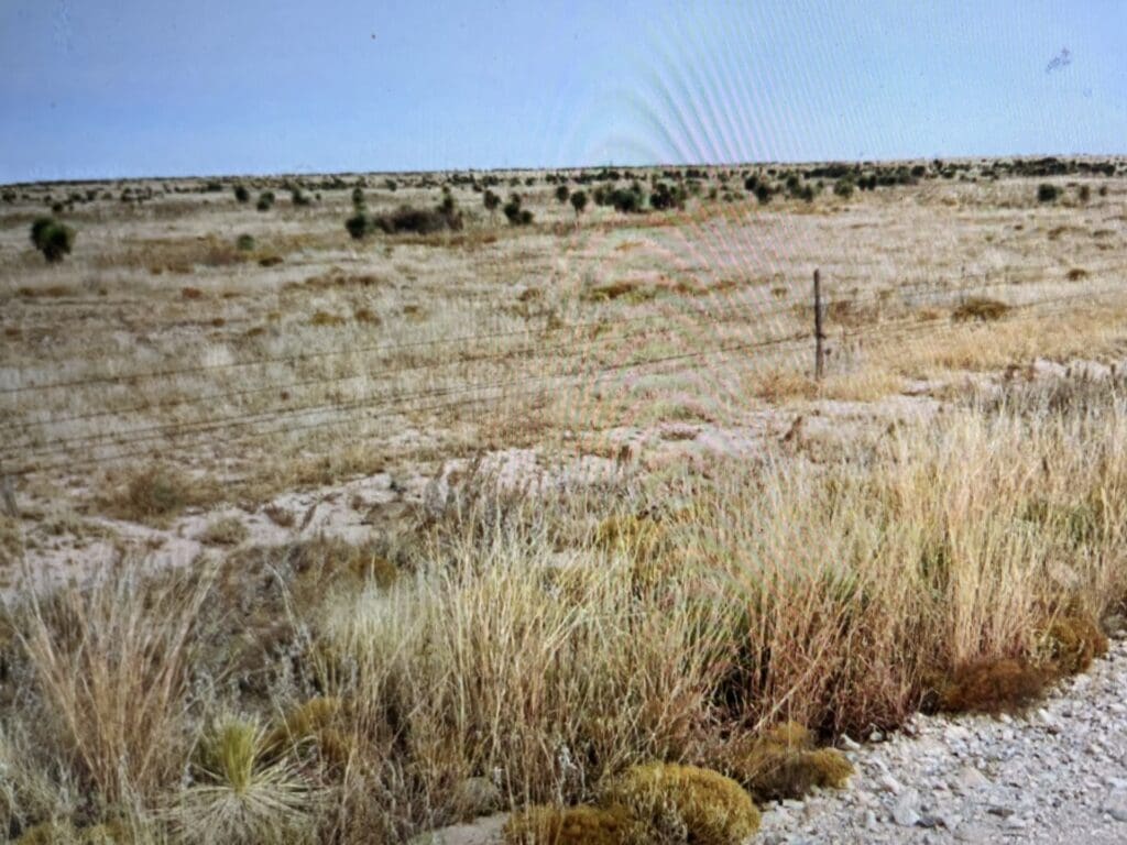 Large view of 2.50 ACRE MINI RANCH IN SOUTHEASTERN NEW MEXICO NEAR ROSWELL AND CLOUDCROFT ~ GORGEOUS VIEWS AND TONS OF WILDLIFE! Photo 2