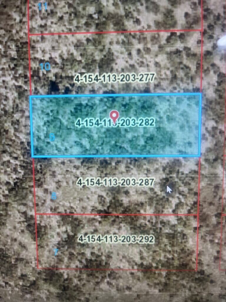 Large view of 0.16 ACRE RAW VACANT RECREATIONAL LOT IN LAKEWOOD NEAR BRANTLEY LAKE & PECOS RIVER, CAMP, R.V. Photo 2
