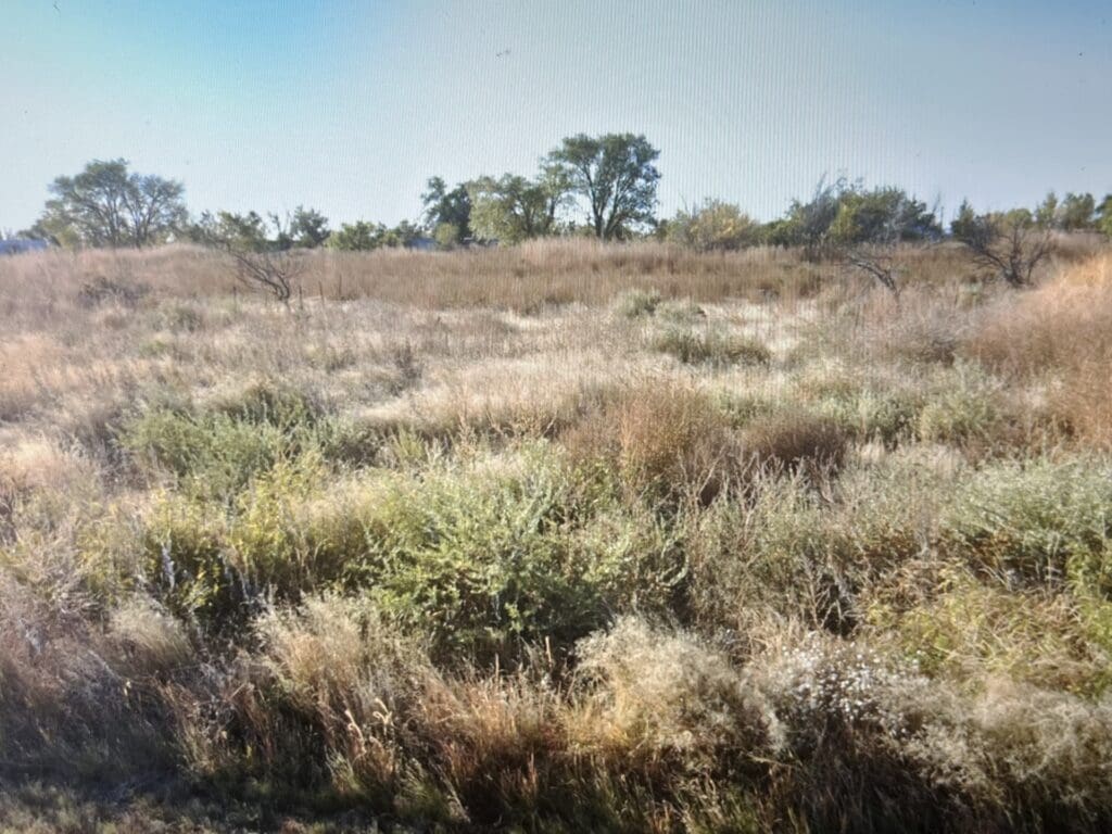 Large view of 0.155 GORGEOUS LAND IN DOWNTOWN HOPE, NEW MEXICO WITH POWER Photo 5