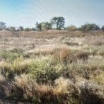 Thumbnail of 0.155 GORGEOUS LAND IN DOWNTOWN HOPE, NEW MEXICO WITH POWER Photo 5