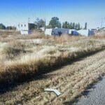 Thumbnail of 0.155 GORGEOUS LAND IN DOWNTOWN HOPE, NEW MEXICO WITH POWER Photo 3