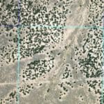 Thumbnail of 40.64 ACRES IN GORGEOUS LAS ANIMAS COUNTY, COLORADO ~ TREED PROPERTY IN THE HILLS NEAR NEW MEXICO BORDER. Photo 2
